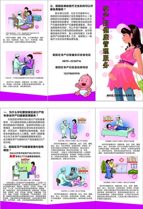 孕妇健康管理三折页